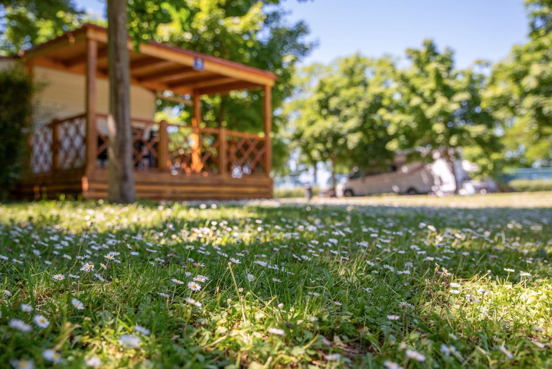 Hungarospa Thermal Camping Mobilház Hajdúszoboszló Exterior foto